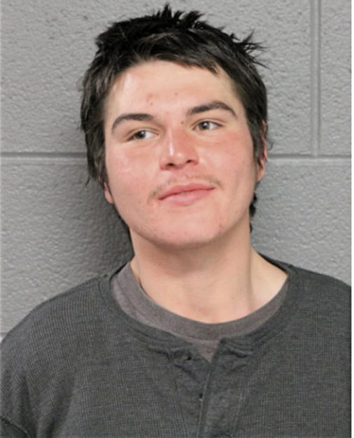 ANGEL L RAMOS, Cook County, Illinois