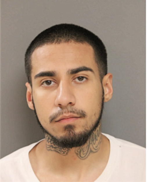 ADRIAN RENTERIA, Cook County, Illinois