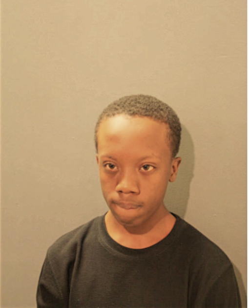 DAVID L ROBINSON, Cook County, Illinois