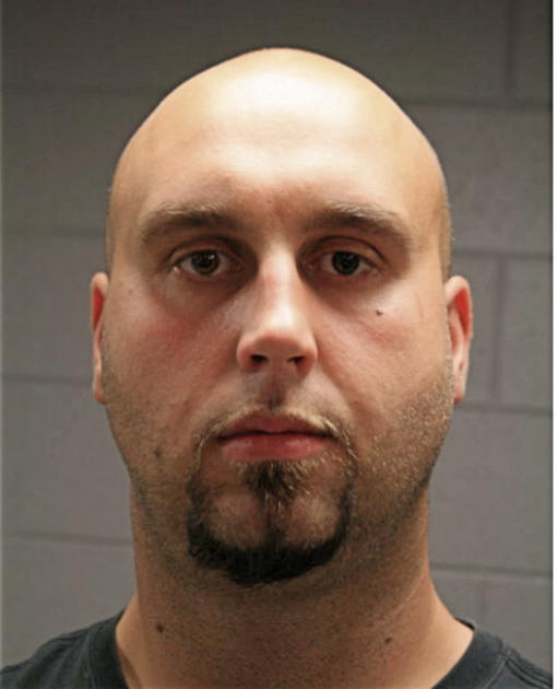 ANDRZEJ MICHAL RYBKA, Cook County, Illinois