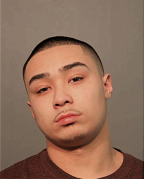 JUSTIN D SOTO, Cook County, Illinois