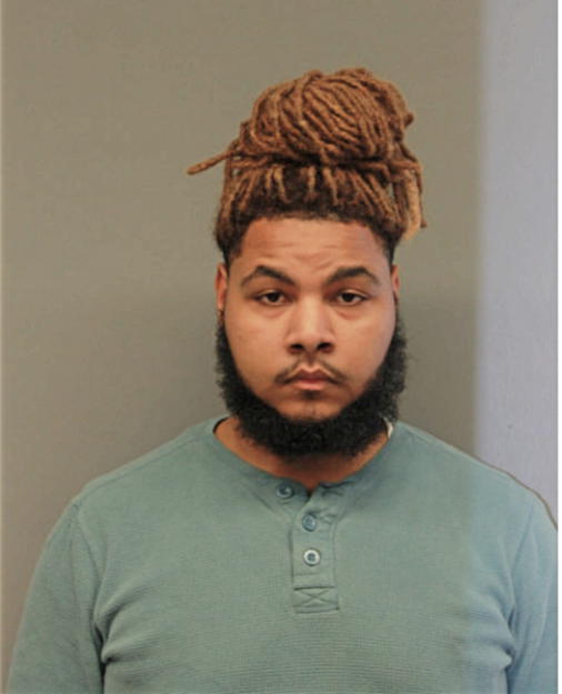 KYLE M WILLIAMS, Cook County, Illinois