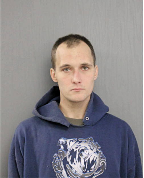 NICHOLAS R WILSON, Cook County, Illinois