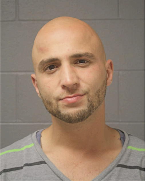 ALAA F ABBASI, Cook County, Illinois