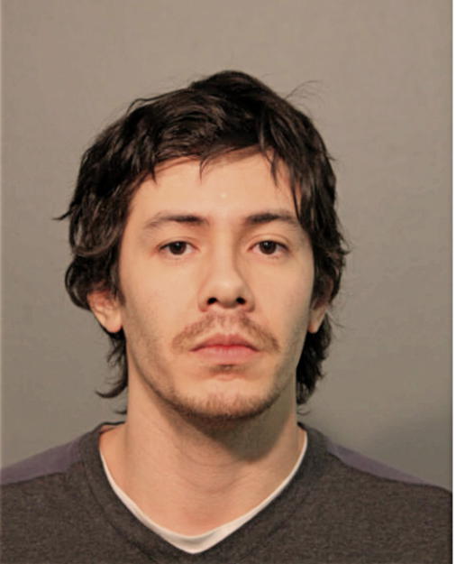 ISSAEL ARMENDARIZ, Cook County, Illinois
