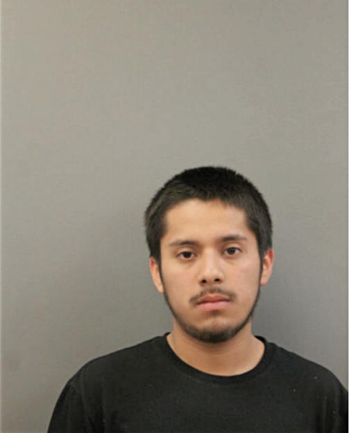 ALEXIS AVELAR, Cook County, Illinois
