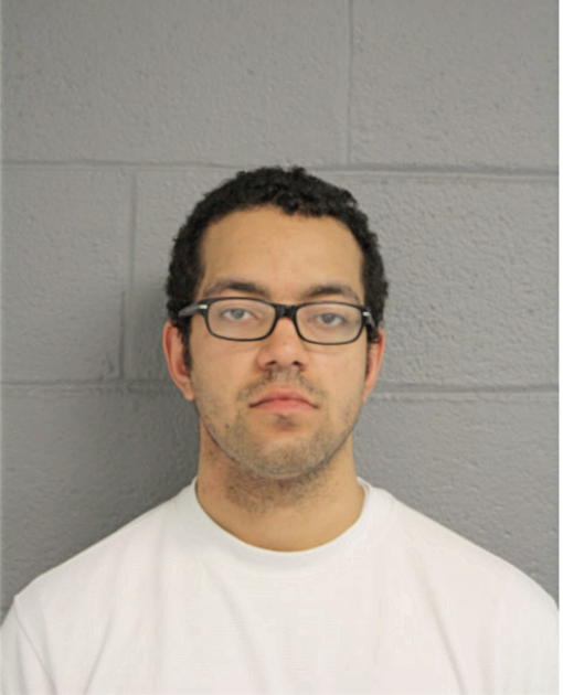 BRENT O BURGE, Cook County, Illinois