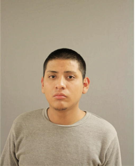 MARCO A CASTRO-ROMAN, Cook County, Illinois