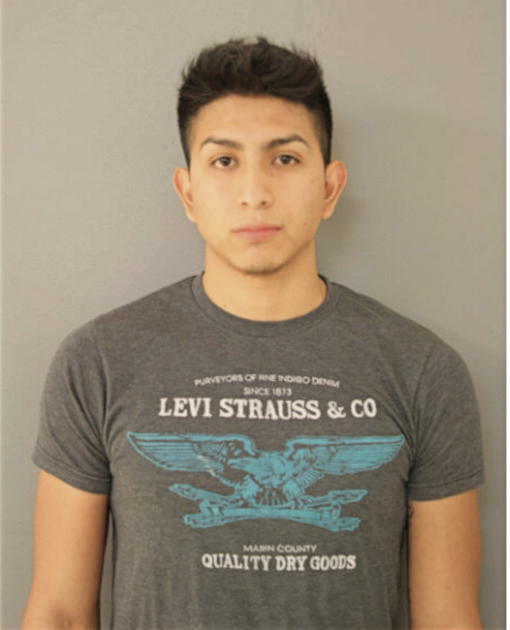 LOUIS A CERVANTES, Cook County, Illinois