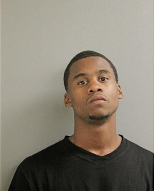 TERRELL L DAVIDSON, Cook County, Illinois