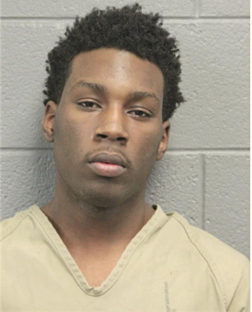 WALTER R DIGGS, Cook County, Illinois