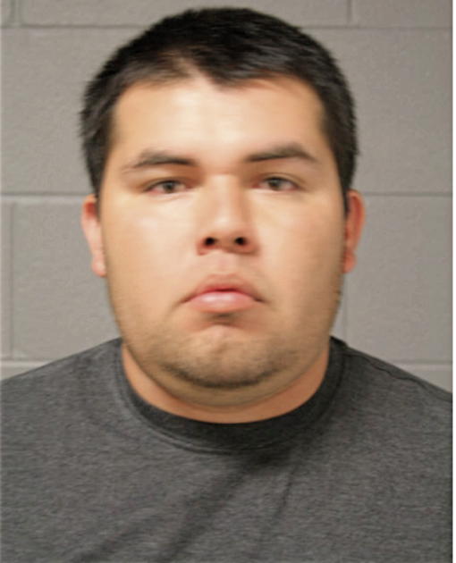 RENE ESTRADA, Cook County, Illinois