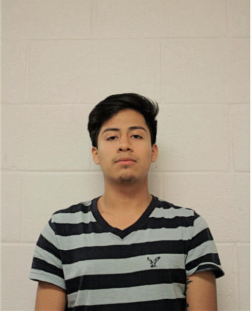 MARVIN F FLORES, Cook County, Illinois