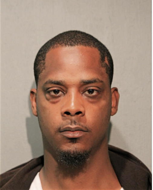 MICHAEL F HAYNES, Cook County, Illinois