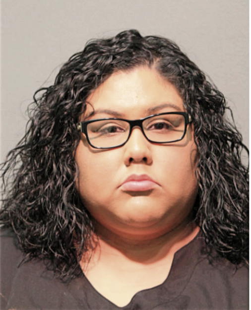 DIANA G IBARRA, Cook County, Illinois