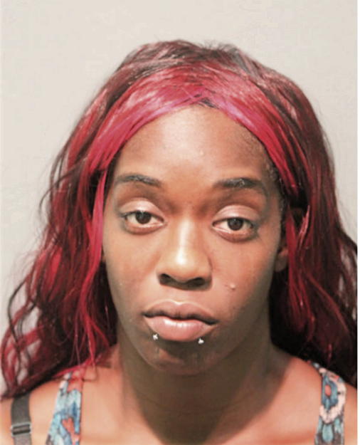 NIKKI L IGBOKIDI, Cook County, Illinois