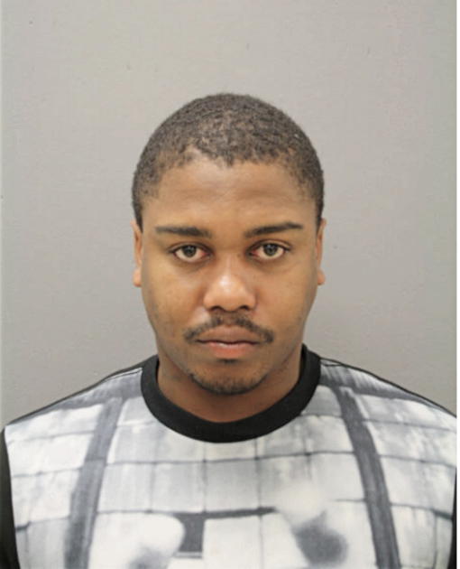 JOPAUL L JOHNSON, Cook County, Illinois