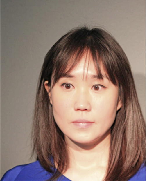 YU W KENG, Cook County, Illinois