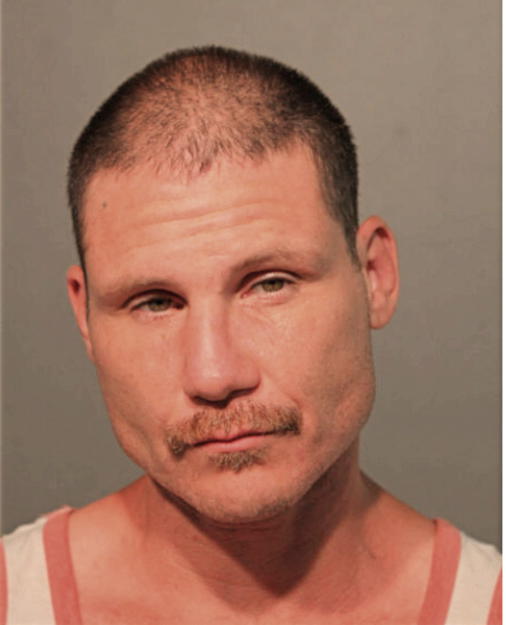 CARY AUSTIN MAMOLA, Cook County, Illinois
