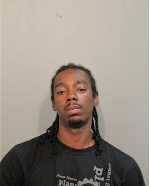 FREDERICK A MILES, Cook County, Illinois