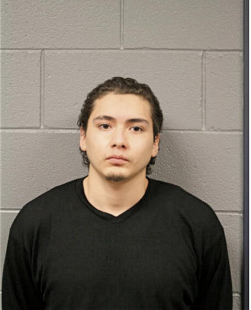 LUIS G OLVERA, Cook County, Illinois
