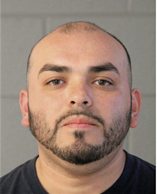 ALBERT PALOMAR, Cook County, Illinois