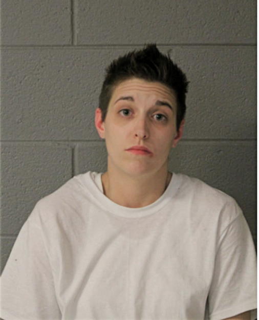 BRITTANY A ROTTO, Cook County, Illinois