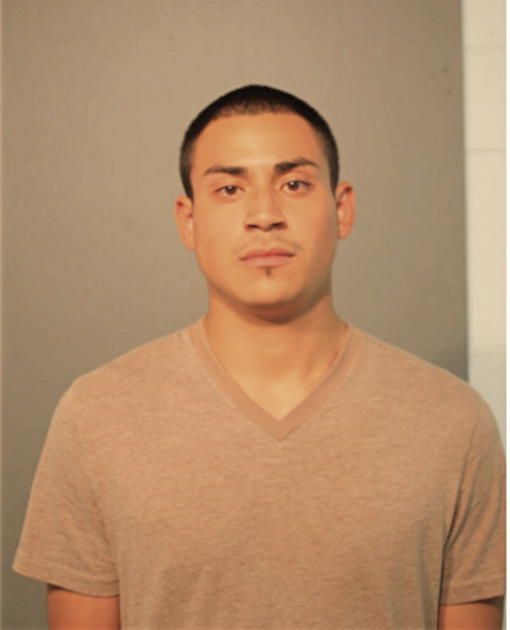 CHRISTIAN V SANCHEZ, Cook County, Illinois