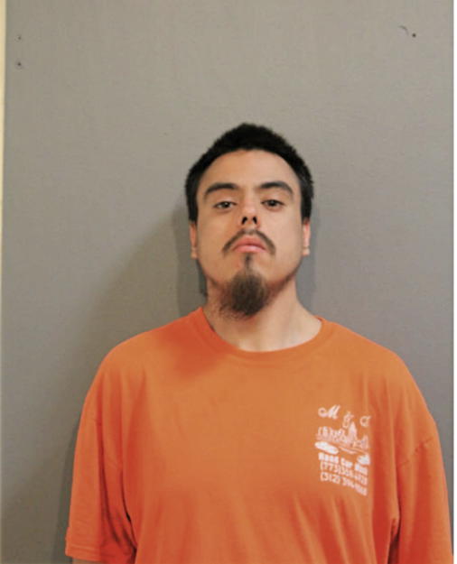 ANDRES SANDOVAL, Cook County, Illinois