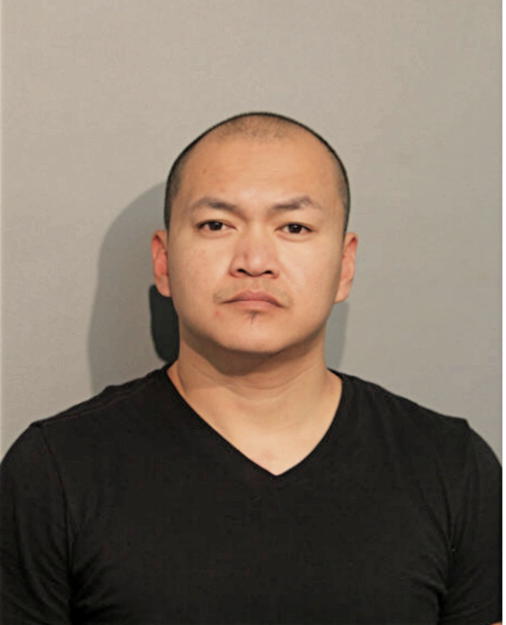 NOEL SIBAL, Cook County, Illinois