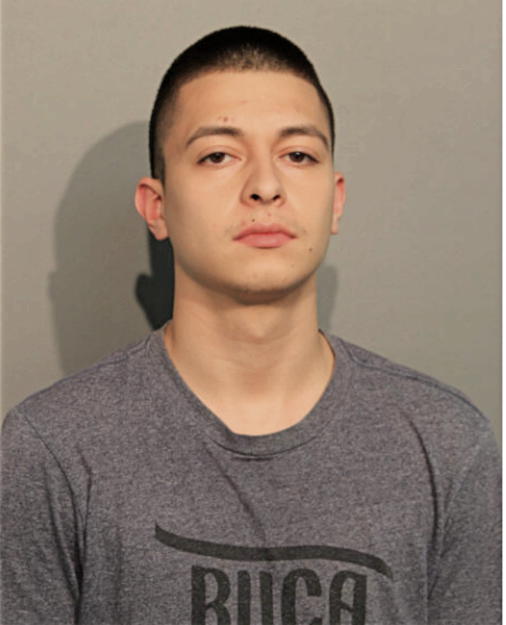 JAVIER I SILVA, Cook County, Illinois
