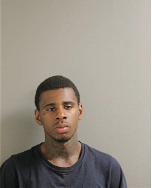 THOMAS L TAYLOR, Cook County, Illinois