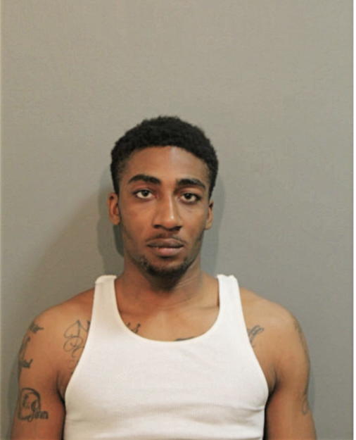 JOHNELL A WILLIAMS, Cook County, Illinois