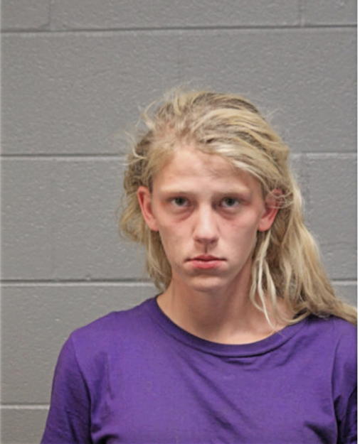 CAITLIN E WOOD, Cook County, Illinois