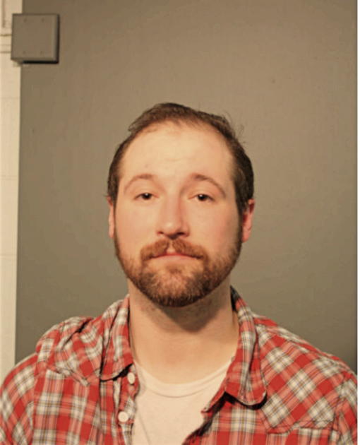 WILLIAM T YOUNG, Cook County, Illinois