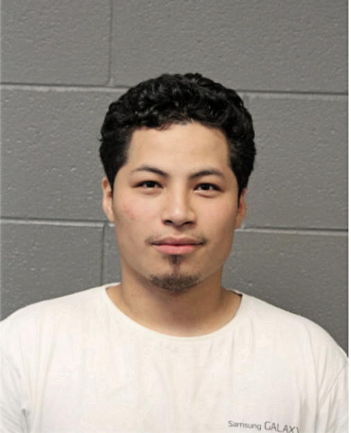 BRAYAN R ARIAS, Cook County, Illinois