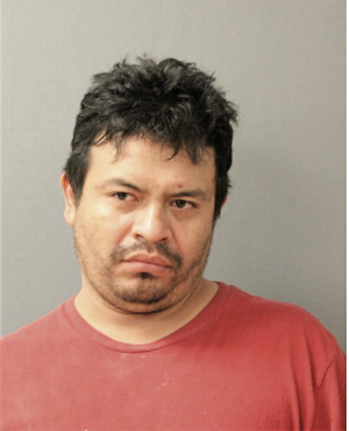 FAUSTO ARROYO-DELGADO, Cook County, Illinois