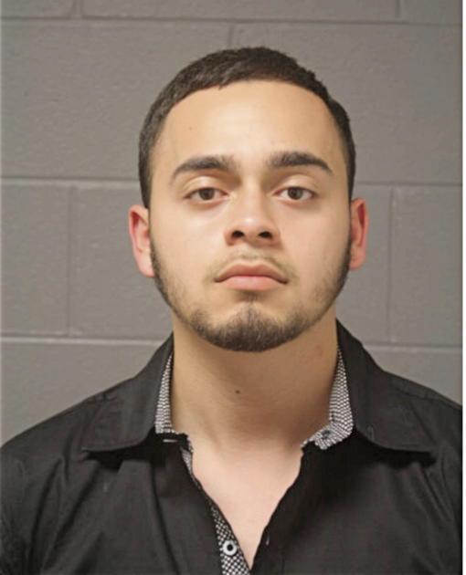 LUIS AVALOS, Cook County, Illinois