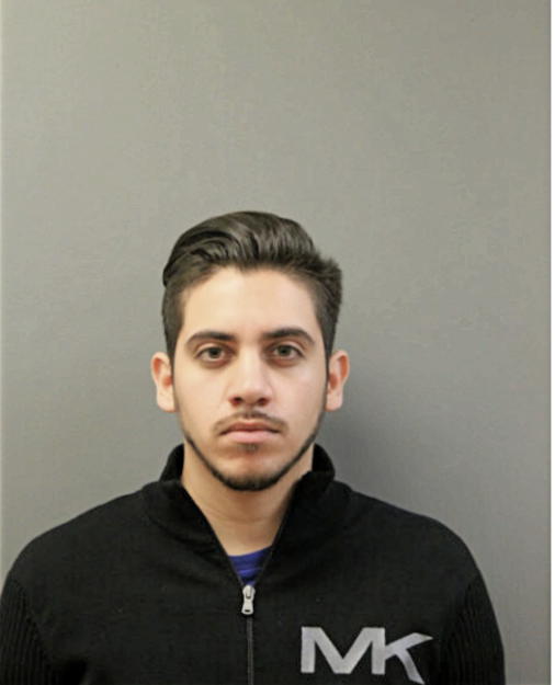 FRANCISCO J CORTEZ, Cook County, Illinois