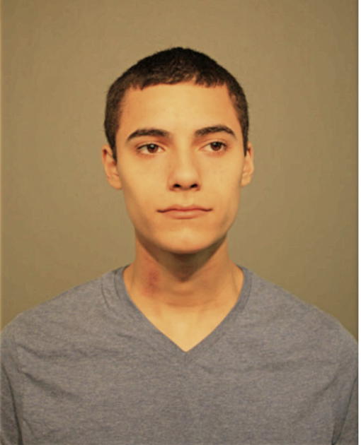 ALEJANDRO DIAZ, Cook County, Illinois