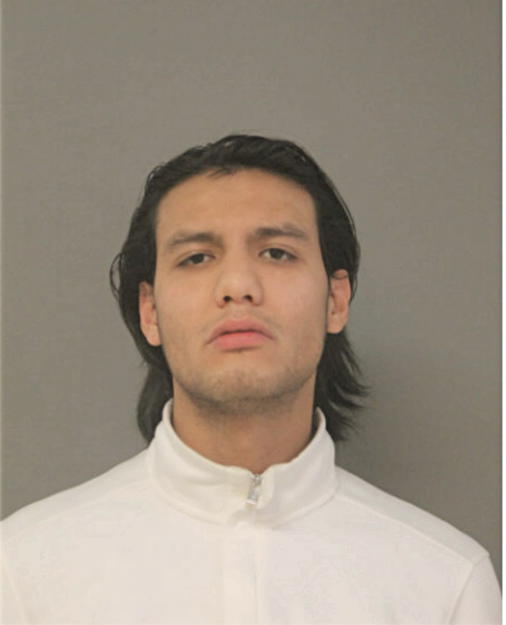 MEDINA FIGUEROA, Cook County, Illinois