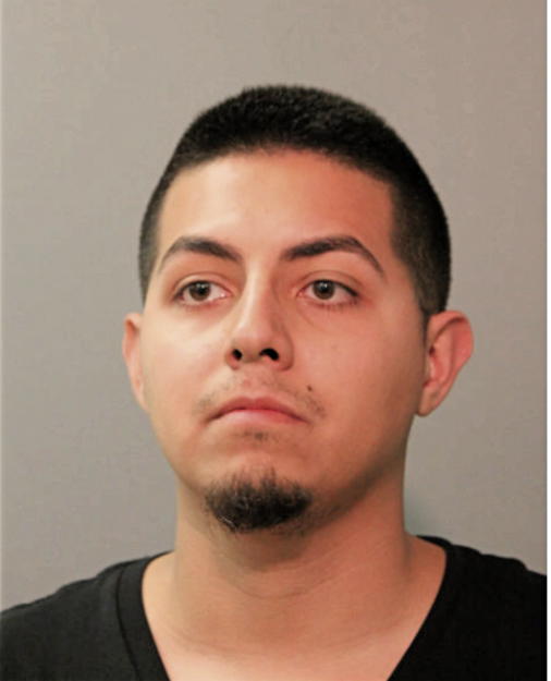 MARTIN FLORES, Cook County, Illinois