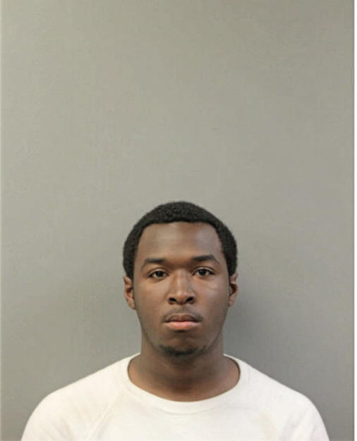 KELARI J GOODLOE, Cook County, Illinois