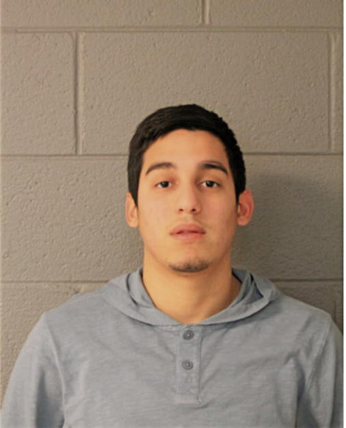 LUIS IRIBE, Cook County, Illinois