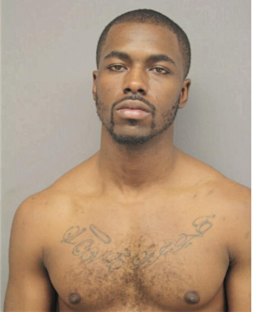 BRANDON L JACKSON, Cook County, Illinois
