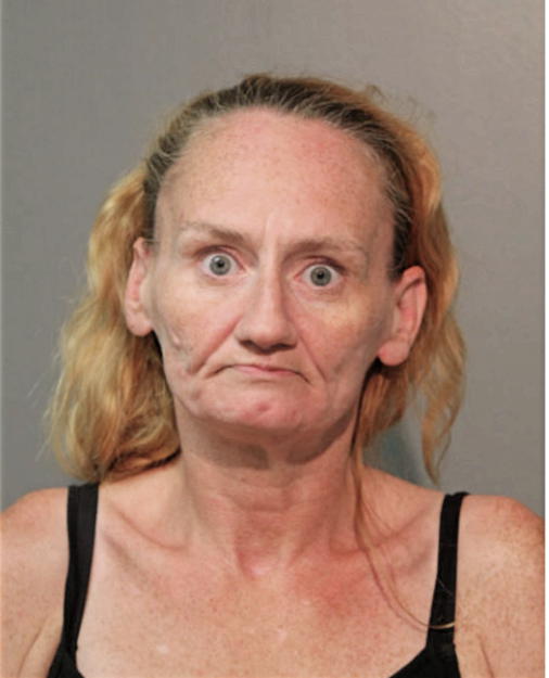 KAREN S JAMESON-CHAVEZ, Cook County, Illinois