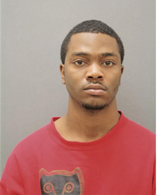 DERRICK T KELLOGG, Cook County, Illinois