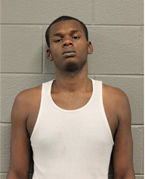 TERRY M LOWE, Cook County, Illinois