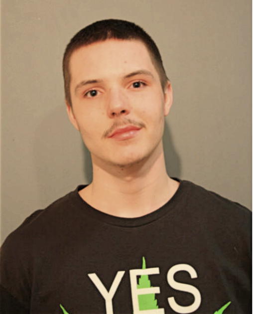 ALEX M MCGINNIS, Cook County, Illinois