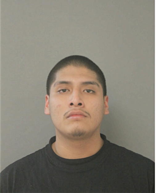 OSCAR PERALTA, Cook County, Illinois